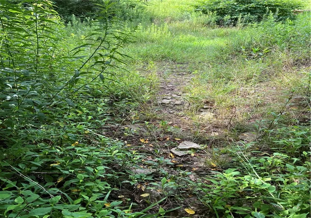 Photo 4 of Land for sale at 138 Friendship Rd, Beaver Falls, PA 15010 | MLS# 1767020 | Listing updated on 2026-07-28