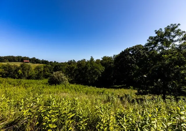 Photo 2 of Land for sale at 0 Young Rd, Blaine Twp, PA 15323 | MLS# 1767748 | Listing updated on 2026-08-01