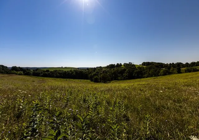 Photo 4 of Land for sale at 0 Young Rd, Blaine Twp, PA 15323 | MLS# 1767748 | Listing updated on 2026-08-01