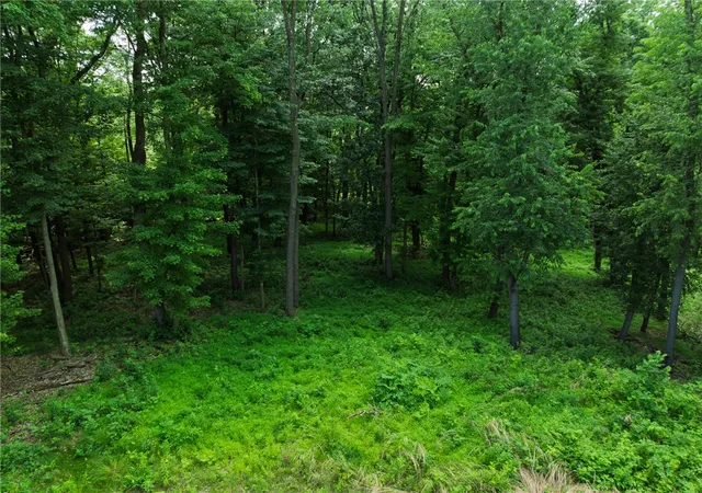 Photo 3 of Land for sale at 805 Mount Pleasant Rd, Pine Twp, PA 16046 | MLS# 1766959 | Listing updated on 2026-08-03