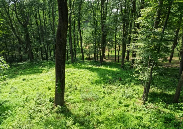 Photo 5 of Land for sale at 805 Mount Pleasant Rd, Pine Twp, PA 16046 | MLS# 1766959 | Listing updated on 2026-08-03