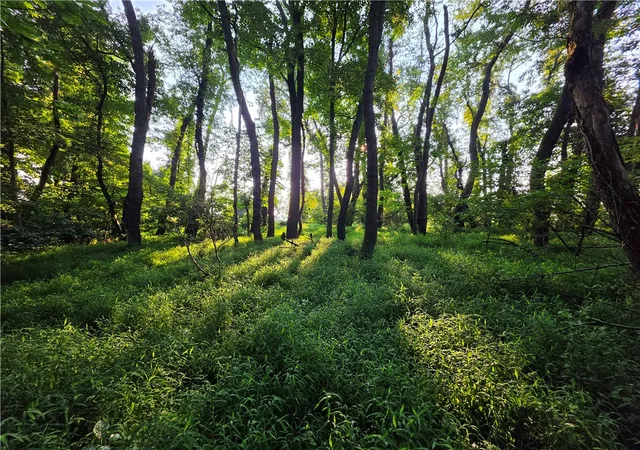 Photo 1 of Land for sale at 0 Darr Rd, Rostraver, PA 15012 | MLS# 1770719 | Listing updated on 2026-08-31