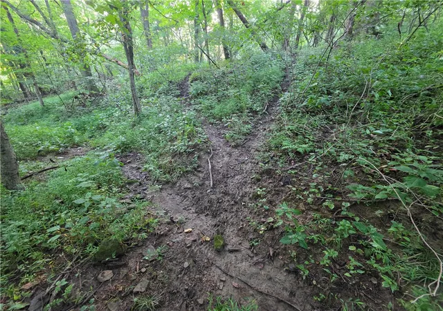Photo 2 of Land for sale at 0 Darr Rd, Rostraver, PA 15012 | MLS# 1770719 | Listing updated on 2026-08-31