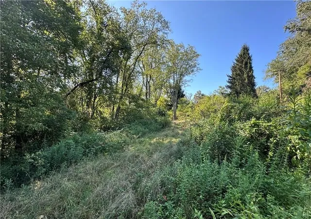 Photo 3 of Land for sale at 1441 Leckrone Masontown Rd, German Twp, PA 15461 | MLS# 1772278 | Listing updated on 2026-08-31