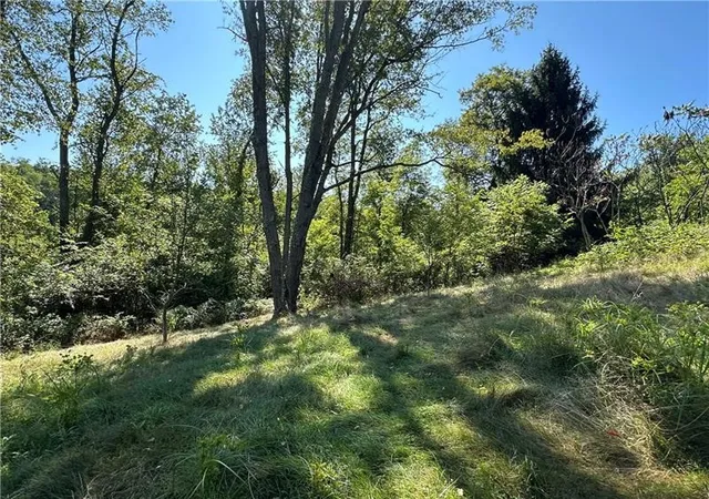 Photo 4 of Land for sale at 1441 Leckrone Masontown Rd, German Twp, PA 15461 | MLS# 1772278 | Listing updated on 2026-08-31