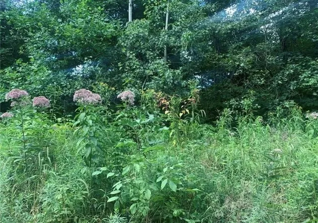 Photo 1 of Land for sale at Lot 2b & 4 Vickerman Rd, E Lackawannock Twp, PA 16137 | MLS# 1772296 | Listing updated on 2026-08-31