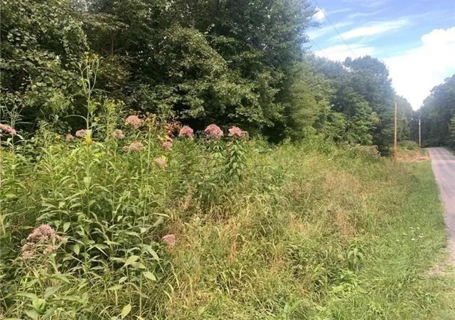 Photo 3 of Land for sale at Lot 2b & 4 Vickerman Rd, E Lackawannock Twp, PA 16137 | MLS# 1772296 | Listing updated on 2026-08-31