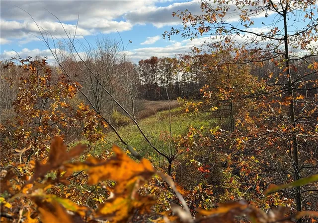 Photo 1 of Land for sale at 000 Borowicz, Wilmington Twp, PA 16142 | MLS# 1772270 | Listing updated on 2026-10-28
