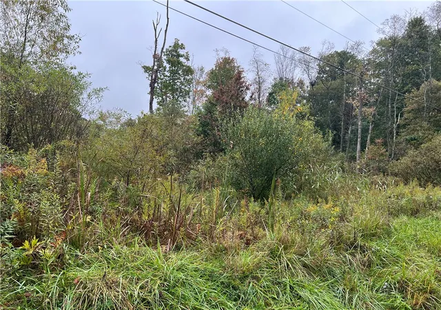 Photo 3 of Land for sale at 221 Saint John Rd, Clay Twp, PA 16057 | MLS# 1774028 | Listing updated on 2026-10-05