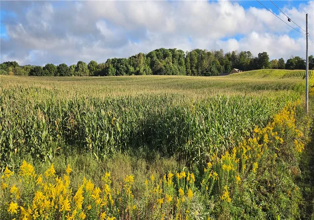 Photo 1 of Land for sale at W Bakersville Edie Rd, Somerset, PA 15501 | MLS# 1776276 | Listing updated on 2026-09-25
