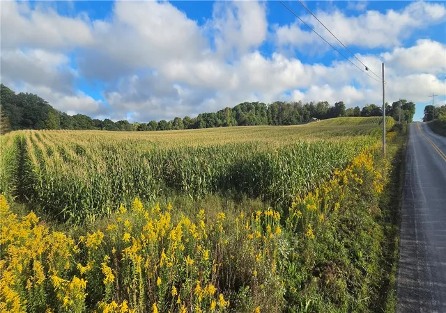 Photo 3 of Land for sale at W Bakersville Edie Rd, Somerset, PA 15501 | MLS# 1776276 | Listing updated on 2026-09-25