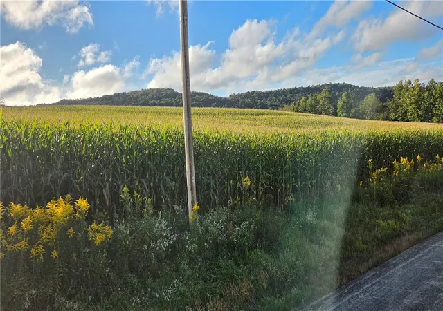 Photo 1 of Land for sale at 00 W Bakersville Edie Rd, Jefferson Twp, PA 15501 | MLS# 1776405 | Listing updated on 2026-09-26