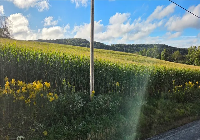 Photo 3 of Land for sale at 00 W Bakersville Edie Rd, Jefferson Twp, PA 15501 | MLS# 1776405 | Listing updated on 2026-09-26