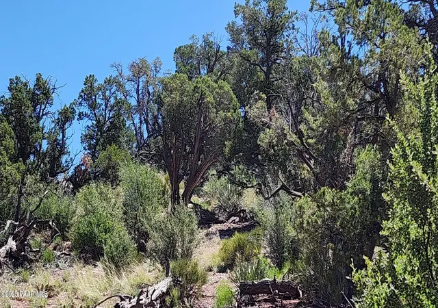 2nd image of Lot 1 Big View, Ash Fork, AZ 86320 | MLS# 1072121