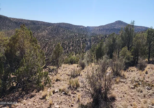 5th image of Lot 1 Big View, Ash Fork, AZ 86320 | MLS# 1072121