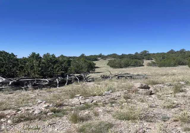 Photo 3 of Land for sale at 37925 W Raptor Rd, Seligman, AZ 86337 | MLS# 1072425 | Listing updated on 2026-04-27