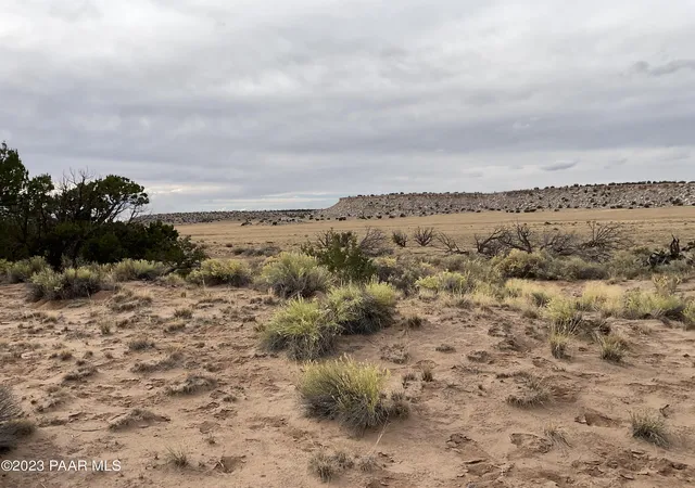 1st image of 934 Woodland Valley Ranch, St. Johns, AZ 85936 | MLS# 1072752