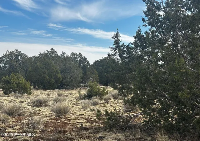 4th image of 742 Westwood Ranch, Williams, AZ 86046 | MLS# 1073009