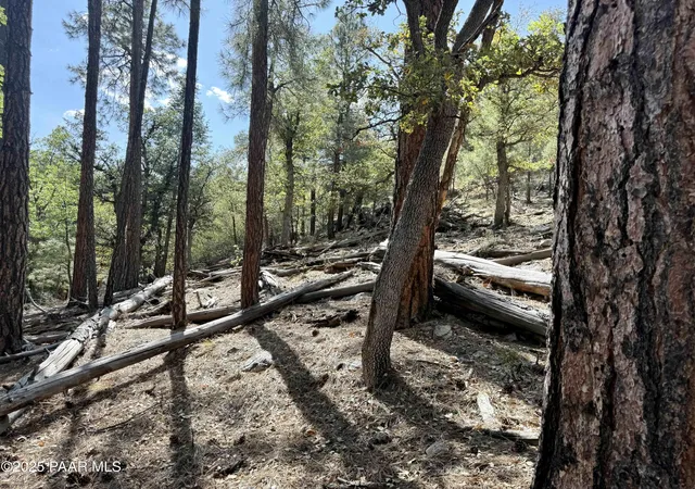 Photo 4 of Land for sale at 5980a Old Walker Rd, Prescott, AZ 86303 | MLS# 1074400 | Listing updated on 2026-06-19