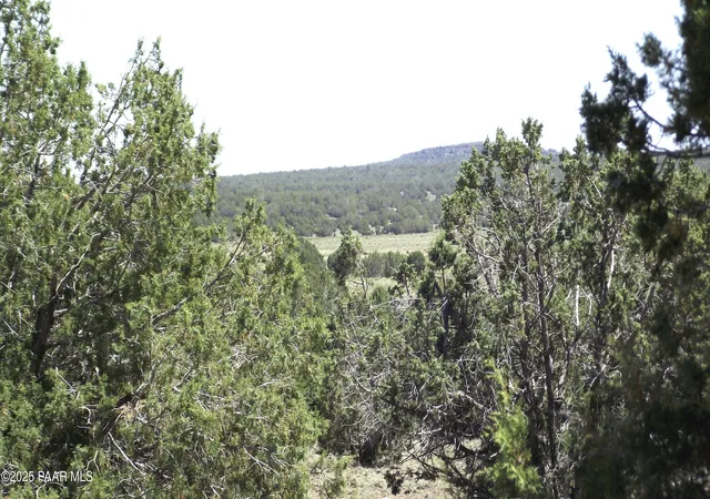 Photo 1 of Sale Pending at 552 Stone Lake Blvd, Williams, AZ 86046 | MLS# 1075109 | Listing updated on 2026-02-20