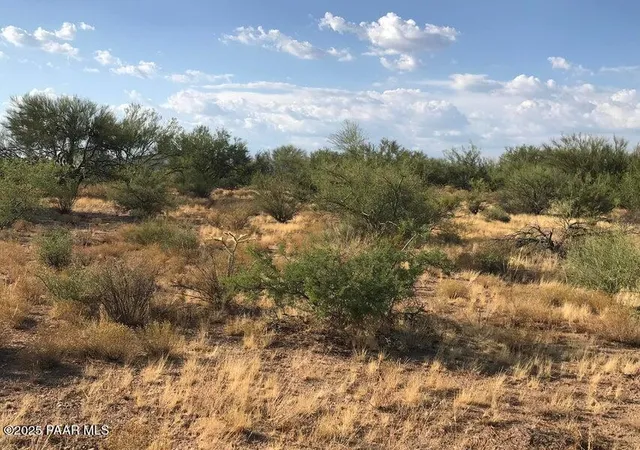 4th image of 29670 S State Route 89, Congress, AZ 85332 | MLS# 1076472