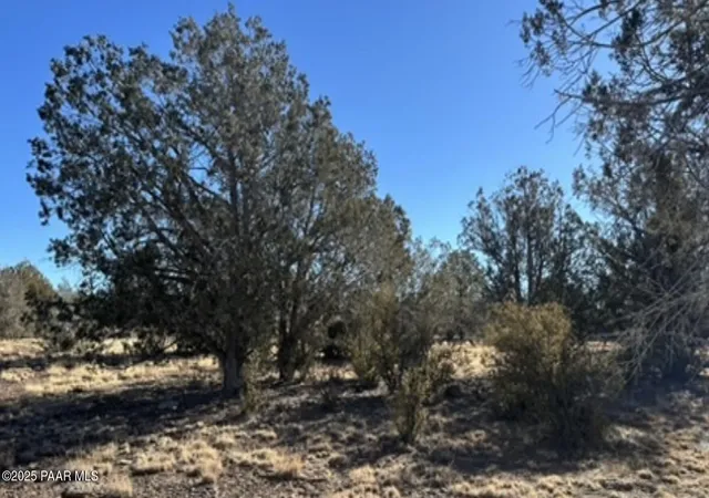 Photo 3 of Land for sale at 3527 N Claire Way, Williams, AZ 86046 | MLS# 1076991 | Listing updated on 2025-10-06