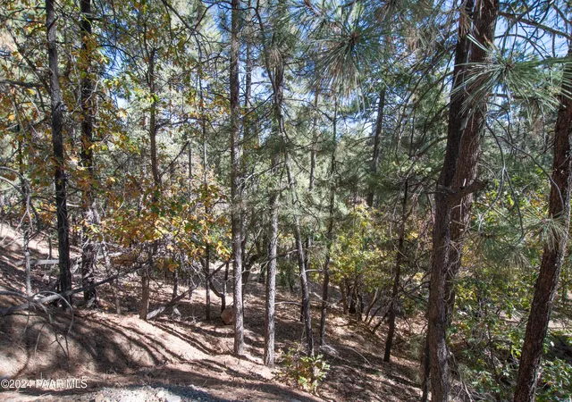 26th image of 7xxx S Snowdrift Mine (lot 5) Rd, Prescott, AZ 86303 | MLS# 1079425