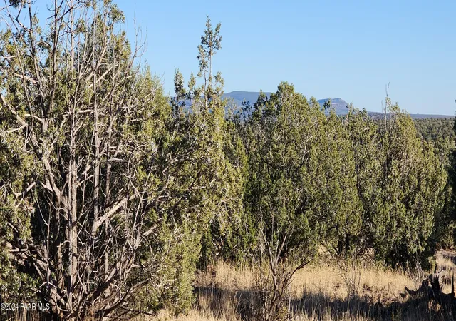 3rd image of 88-A Rose Lane, Ash Fork, AZ 86320 | MLS# 1077692