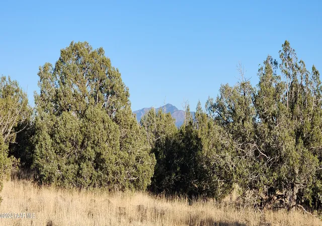 4th image of 88-A Rose Lane, Ash Fork, AZ 86320 | MLS# 1077692