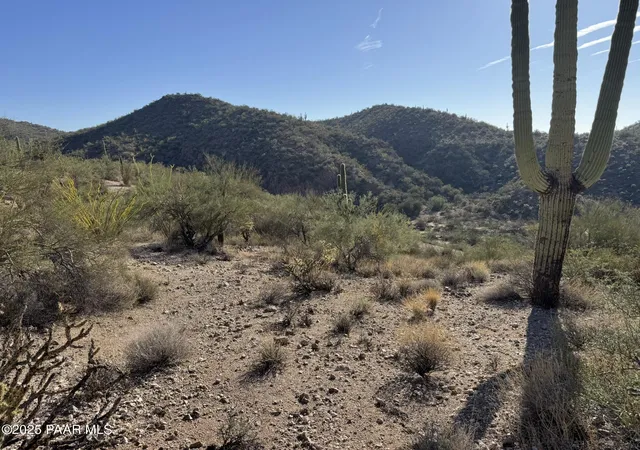 Homes for sale in Wickenburg, AZ | Xx00j S Blue Tank Trl, Wickenburg, AZ 85390 | MLS# 1077862