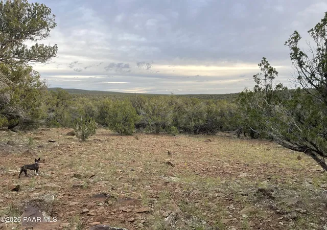 Photo 3 of Land for sale at 00 Mad Man Mtn Rd Lot 569, Williams, AZ 86046 | MLS# 1079272 | Listing updated on 2026-09-29