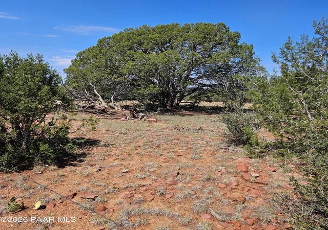 1st image of 361 W Valley Blvd, Seligman, AZ 86337 | MLS# 1080838