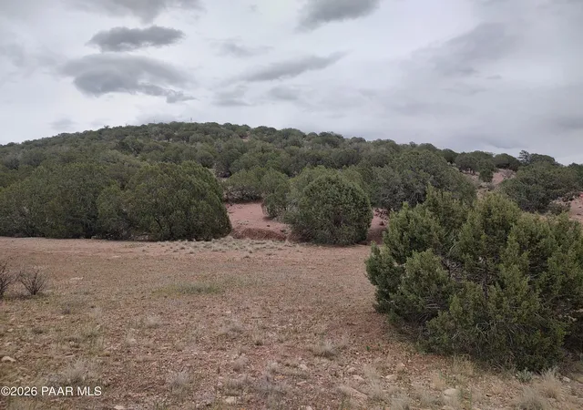 Homes for sale in Chino Valley, AZ | 4875 N Joshua Wy, Chino Valley, AZ 86323 | MLS# 1080756