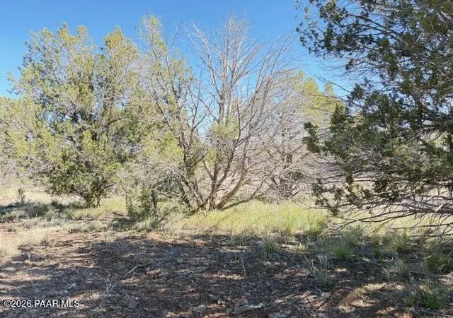 Photo 4 of Land for sale at 4176 N Double A Ranch Rd, Williams, AZ 86046 | MLS# 1081316 | Listing updated on 2026-04-21