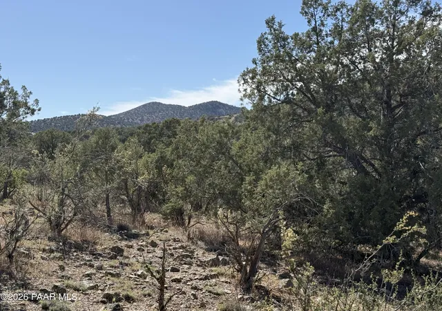 Homes for sale in Chino Valley, AZ | Tbd Spotted Dog Trl, Chino Valley, AZ 86323 | MLS# 1081446