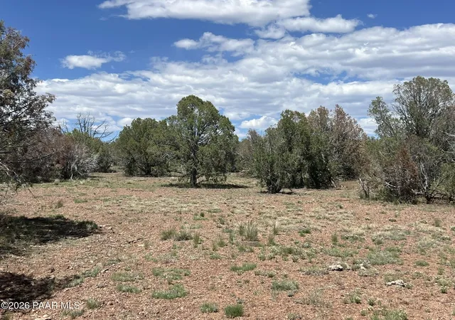 Photo 3 of Land for sale at 206 Brava Ln, Ash Fork, AZ 86320 | MLS# 1081863 | Listing updated on 2026-09-24