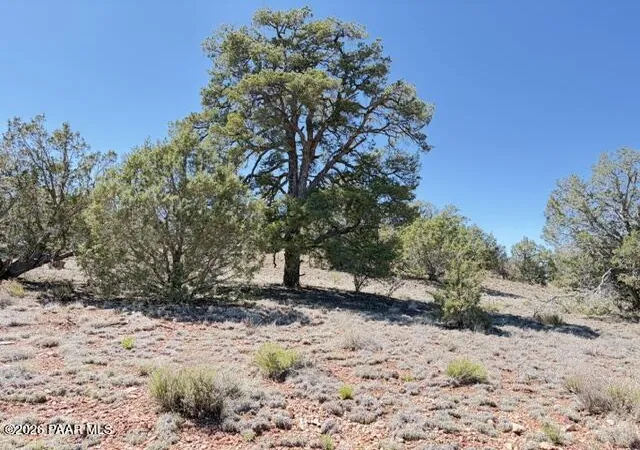 Photo 2 of Land for sale at 64550 N Flaming Star Dr, Seligman, AZ | MLS# 1081980 | Listing updated on 2026-05-14