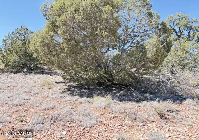 Photo 3 of Land for sale at 64550 N Flaming Star Dr, Seligman, AZ | MLS# 1081980 | Listing updated on 2026-05-14