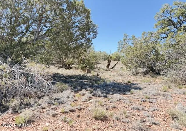 Photo 3 of Land for sale at 64550 N Flaming Star Dr, Seligman, AZ | MLS# 1081980 | Listing updated on 2026-05-14