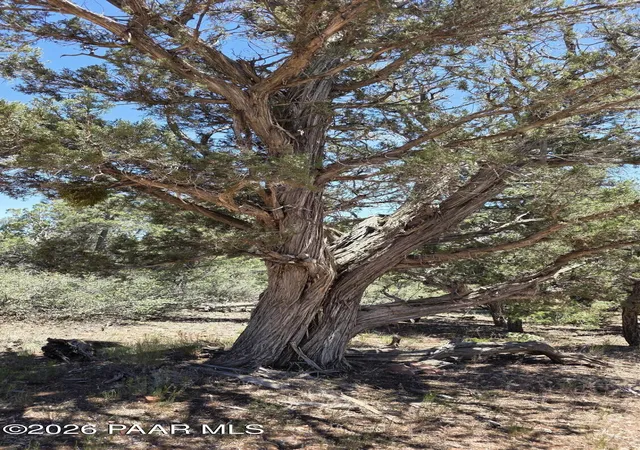Photo 3 of Land for sale at 179 Arizona Rd, Ash Fork, AZ 86320 | MLS# 1082653 | Listing updated on 2026-06-25