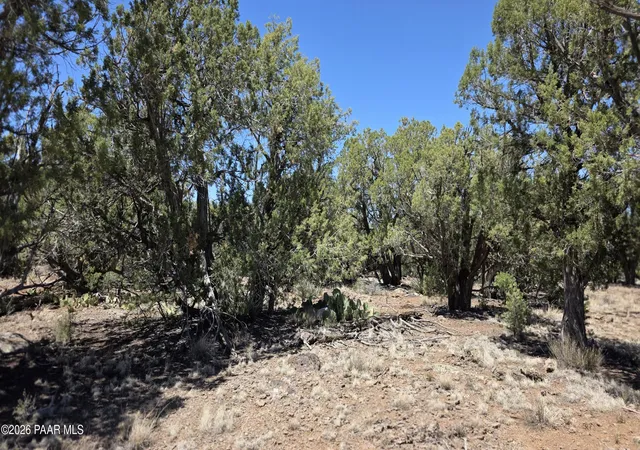 Photo 3 of Land for sale at 1224 A Pale Moon, Seligman, AZ 86377 | MLS# 1082823 | Listing updated on 2026-07-07