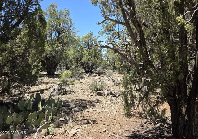 Photo 4 of House for sale at 1224-a Pale Moon, Seligman, AZ 86377 | MLS# 1082823 | Listing updated on 2026-07-07