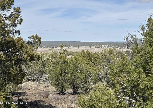 Homes for sale in Kingman, AZ | 352 26 004 Doe Trl, Kingman, AZ 86401 | MLS# 1083049