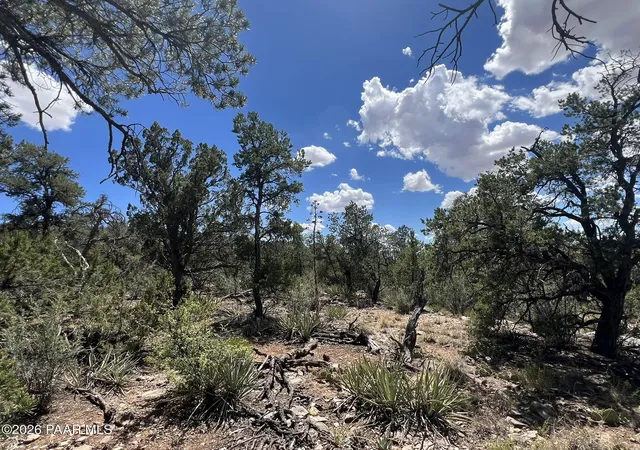 Photo 1 of Land for sale at 109 Off Of Twin Fawn Ln, Ash Fork, AZ 86320 | MLS# 1083105 | Listing updated on 2026-06-26