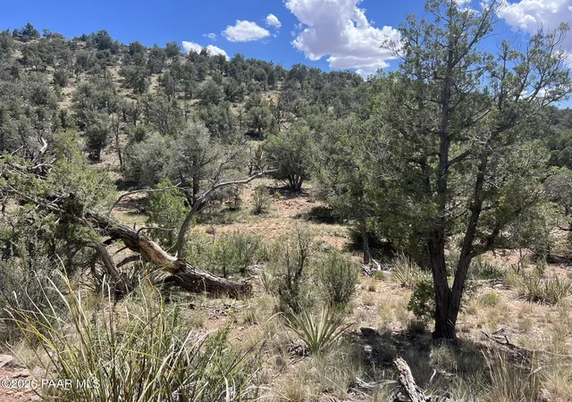 Photo 3 of Land for sale at 109 Off Of Twin Fawn Ln, Ash Fork, AZ 86320 | MLS# 1083105 | Listing updated on 2026-06-26