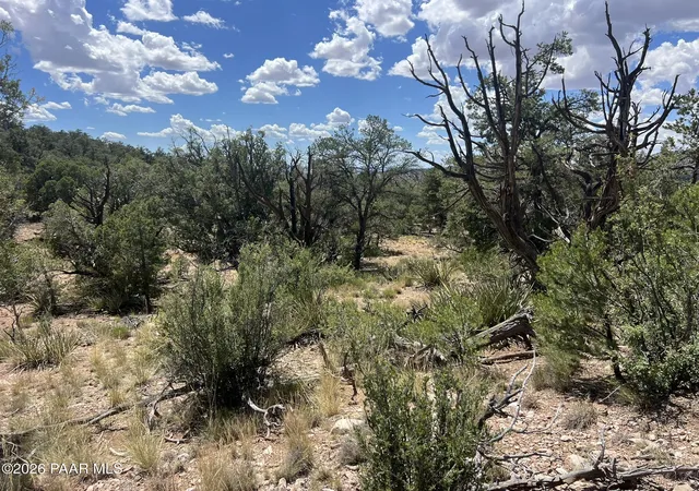 Photo 3 of Land for sale at 109 Off Of Twin Fawn Ln, Ash Fork, AZ 86320 | MLS# 1083105 | Listing updated on 2026-06-26