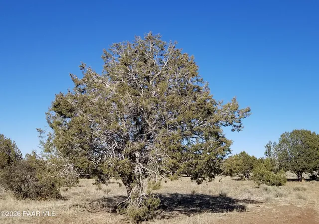 Photo 1 of Land for sale at 214 Ne Qtr W Rut, Ash Fork, AZ 86320 | MLS# 1083110 | Listing updated on 2026-07-17