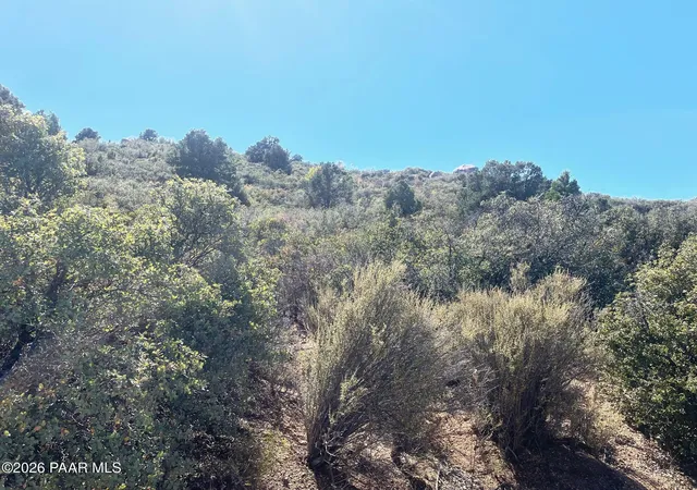 Homes for sale in Wikieup, AZ | 252-25-011 Mcgee Pass, Wikieup, AZ 85360 | MLS# 1083254