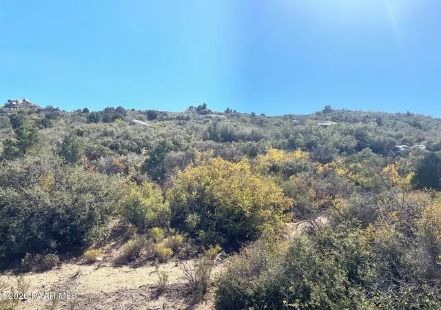 Homes for sale in Wikieup, AZ | 252-25-011 Mcgee Pass, Wikieup, AZ 85360 | MLS# 1083254