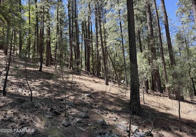 6th image of 5525x S Walker Rd, Prescott, AZ 86303 | MLS# 1083939
